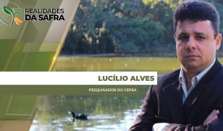 Lucílio Alves - Pesquisador do Cepea