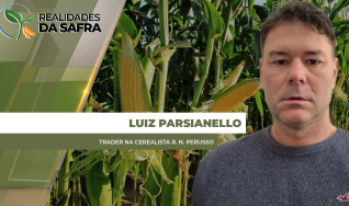 Luiz Parsianello - Trader na Cerealista R. N. Perusso