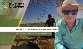 Marcílio Fernandes Marangoni - Engenheiro Agrônomo de Darcinópolis - TO