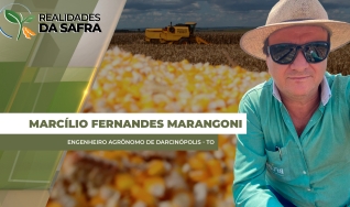 Marcílio Fernandes Marangoni - Engenheiro Agrônomo de Darcinópolis - TO