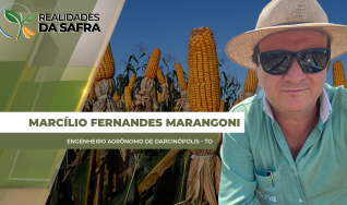 Marcílio Fernandes Marangoni - Engenheiro Agrônomo de Darcinópolis - TO