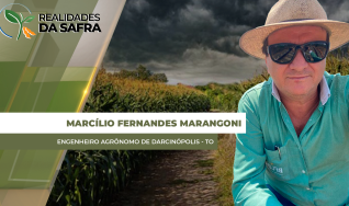 Marcílio Fernandes Marangoni - Engenheiro Agrônomo de Darcinópolis - TO
