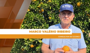 Marco Valério Ribeiro - Consultor do GCONCI