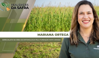 Mariana Ortega - Especialista na Área de Entomologia pela Fundação Mato Grosso