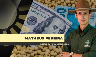 Matheus Pereira - Sócio-Diretor da Pátria Agronegócios