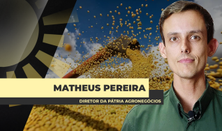 Matheus Pereira - Sócio-Diretor da Pátria Agronegócios