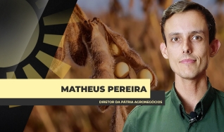 Matheus Pereira - Sócio-Diretor da Pátria Agronegócios