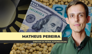 Matheus Pereira - Sócio-Diretor da Pátria Agronegócios