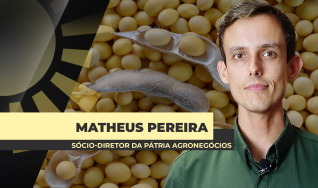 Matheus Pereira - Sócio-Diretor da Pátria Agronegócios