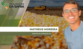 Matheus Moreira - Diretor da Aprosoja PR