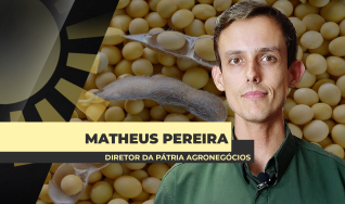 Matheus Pereira - Sócio-Diretor da Pátria Agronegócios