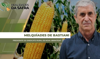 Melquíades de Bastiani - Presidente do Sindicato Rural de  Nova Ubiratã/MT