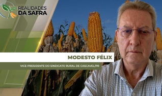 Modesto Félix - Vice-Presidente do Sindicato Rural de Cascavel/PR