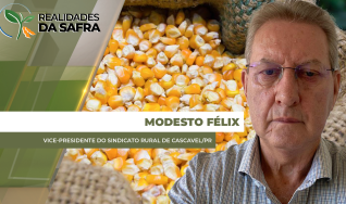 Modesto Félix - Vice-Presidente do Sindicato Rural de Cascavel/PR