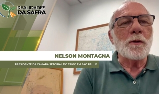 Nelson Montagna - Presidente da Câmara Setorial do Trigo em São Paulo