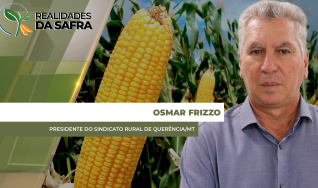 Osmar Frizzo - Presidente do Sindicato Rural de Querência/MT