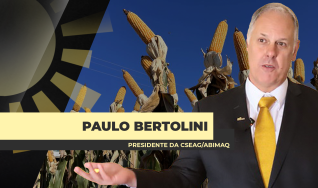 Paulo Bertolini - Presidente da CSEAG/ABIMAQ