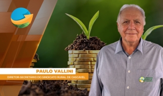 Paulo Vallini, diretor-secretário do Sindicato Rural de Cascavel