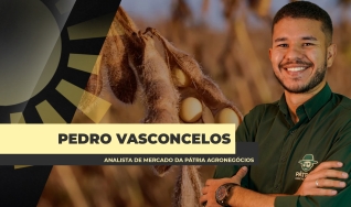 Pedro Vasconcelos - Analista de Mercado da Pátria Agronegócios