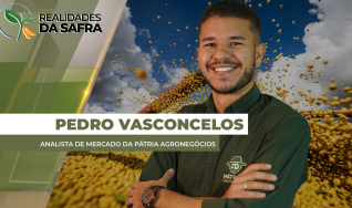 Pedro Vasconcelos - Analista de Mercado da Pátria Agronegócios