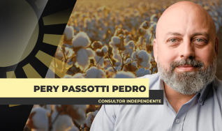 Pery Passotti Pedro - Consultor Independente