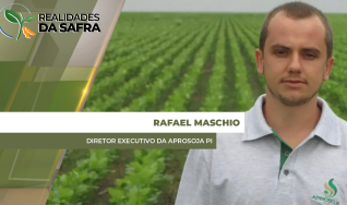 Rafael Maschio - Diretor Executivo da Aprosoja PI