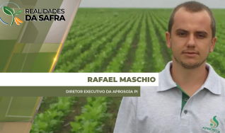 Rafael Maschio - Diretor Executivo da Aprosoja PI