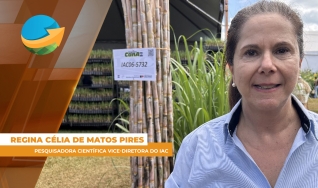 Regina Célia de Matos Pires - Pesquisadora Científica Vice-diretora do IAC