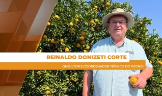 Reinaldo Donizeti Corte - consultor e coordenador técnico do GCONCI
