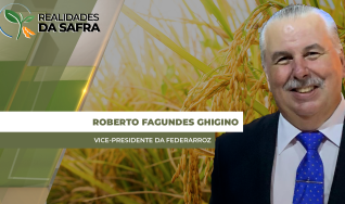 Roberto Fagundes Ghigino - Vice-Presidente da Federarroz