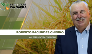 Roberto Fagundes Ghigino - Vice-Presidente da Federarroz