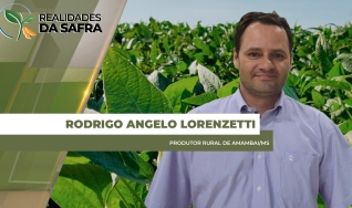 Rodrigo Angelo Lorenzetti - Produtor Rural de Amambai/MS