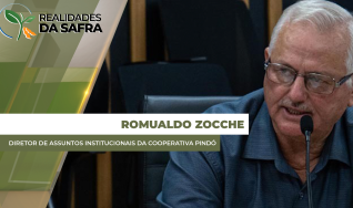 Romualdo Zocche - Diretor de Assuntos Institucionais da Cooperativa Pindó