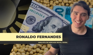 Ronaldo Fernandes - Analista de Mercado Royal Rural