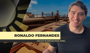Ronaldo Fernandes - Analista de Mercado Royal Rural