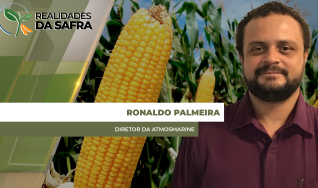 Ronaldo Palmeira - Diretor da AtmosMarine