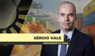 Sérgio Vale - Economista e Professor do IBDA