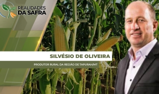 Silvésio de Oliveira - Produtor Rural da região de Tapurah/MT