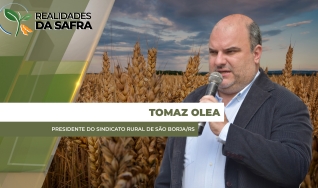 Tomaz Olea - Presidente do Sindicato Rural de São Borja/RS