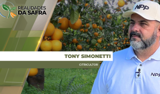 Tony Simonetti - Citricultor