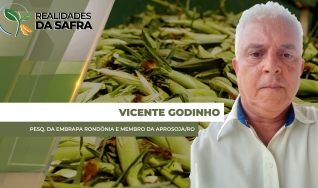 Vicente Godinho - Pesq. da Embrapa Rondônia e Membro da Aprosoja/RO