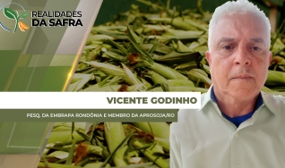 Vicente Godinho - Pesq. da Embrapa Rondônia e Membro da Aprosoja/RO