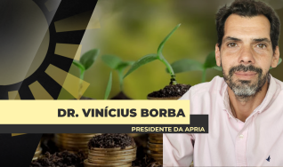 Dr. Vinícius Borba - Advogado