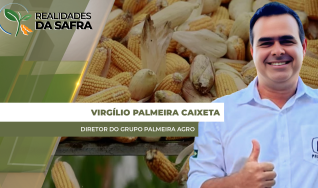 Virgílio Palmeira Caixeta - Diretor do grupo Palmeira agro