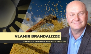 Vlamir Brandalizze - Consultor de Mercado da Brandalizze Consulting