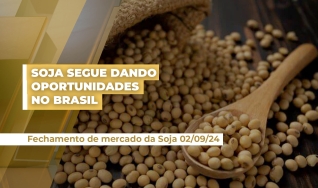 Raphael Mandarino - Diretor da AgResource Brasil