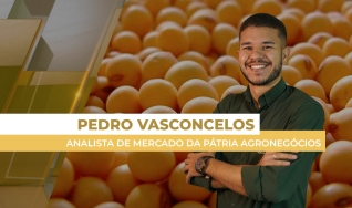 Pedro Vasconcelos - Analista de Mercado da Pátria Agronegócios