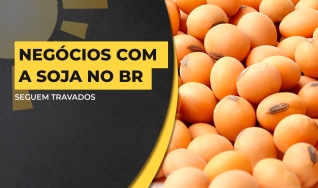 Matheus Pereira - Sócio-Diretor da Pátria Agronegócios