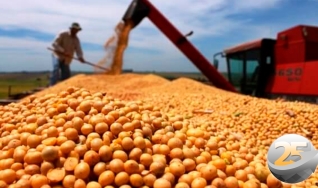 Antônio Isaac Fraga Lira - Produtor Rural de Lucas do Rio Verde/MT