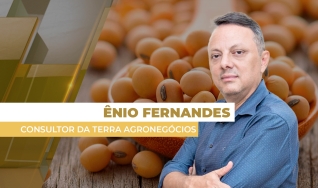 Ênio Fernandes - Consultor em Agronegócio da Terra Agronegócios
